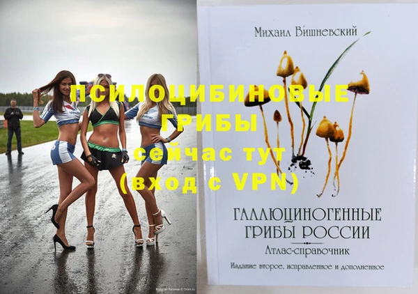 дурь Белокуриха