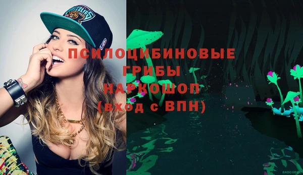 дурь Белокуриха