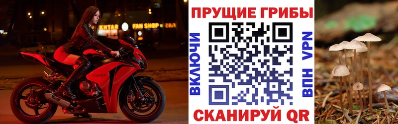hydra зеркало где купить наркоту Гагарин Галлюциногенные грибы Psilocybine cubensis